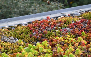 the cost of Altmore green roof installation