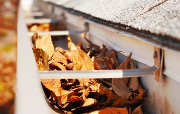 Altmore gutter cleaning companies