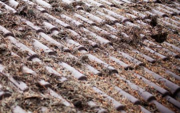 Altmore roof cleaning companies